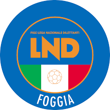 Comunicato Ufficiale Foggia n. 16 del 10.08.2023